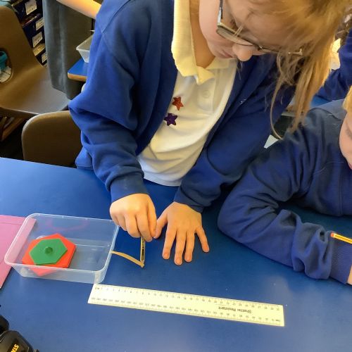 Science - Magnets and Forces